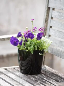 Viva Round Self-Watering Planter, 7" Diameter -Backyard Bloomers 8595222 1140 tif