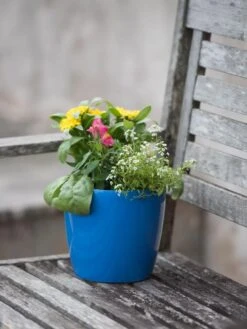 Viva Round Self-Watering Planter, 7" Diameter -Backyard Bloomers 8595222 1143 tif