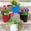 Viva Round Self-Watering Planter, 7" Diameter -Backyard Bloomers 8595222 5302 tif
