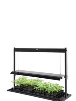 LED SunLite® Tabletop Garden -Backyard Bloomers 8595552 10125 tif