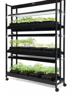 LED SunLite® 3-Tier Garden -Backyard Bloomers 8595554 10113 tif