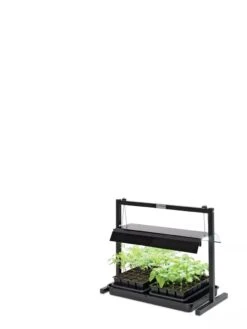 LED SunLite® Compact Tabletop Garden -Backyard Bloomers 8595555 10136 tif