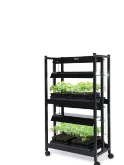 LED SunLite® Compact 2-Tier Garden -Backyard Bloomers 8595556 10132 tif