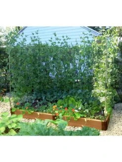 Stack & Extend Veggie Wall -Backyard Bloomers 8595683 02V 3 4