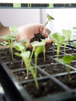 LED Stack-n-Grow Lights - Base Unit -Backyard Bloomers 8595770 7373 tif