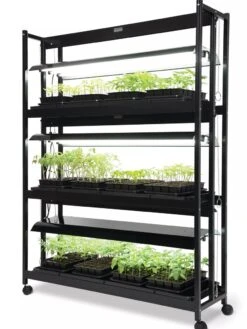 LED SunLite® High Intensity 3-Tier Garden -Backyard Bloomers 8596024 10201 tif