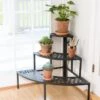 Quarter-Round Lattice Plant Stand -Backyard Bloomers 8596372 6670 tif