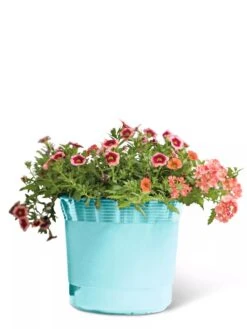 Eezy Gro Self-Watering Planters -Backyard Bloomers 8596426 103 tif