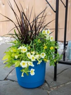 Eezy Gro Self-Watering Planters -Backyard Bloomers 8596427 0035 tif