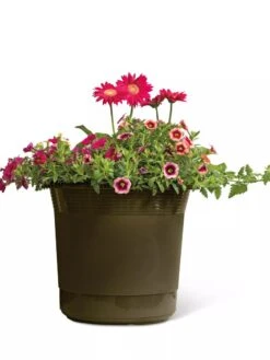 Eezy Gro Self-Watering Planters -Backyard Bloomers 8596427 108 tif