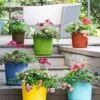 Eezy Gro Self-Watering Planters -Backyard Bloomers 8596427 5498 tif