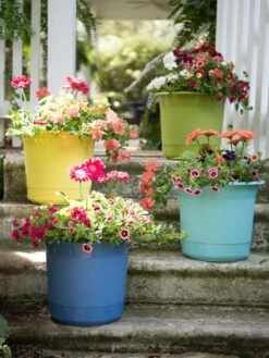 Eezy Gro Self-Watering Planters -Backyard Bloomers 8596427 8090 tif