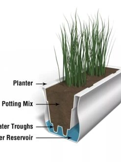 Valencia Window Box, 3' -Backyard Bloomers 8596436 17V tif 1