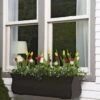 Valencia Window Box, 3' -Backyard Bloomers 8596436 7496 tif