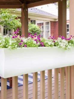 Valencia Window Box, 4' -Backyard Bloomers 8596437 006V tif