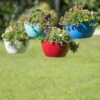 Viva Self-Watering Hanging Basket, 14" Diameter 1 Viva Self-Watering Hanging Basket, 14" Diameter -Backyard Bloomers 8596442 0851 tif