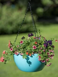 Viva Self-Watering Hanging Basket, 14" Diameter -Backyard Bloomers 8596442 0859 tif