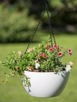 Viva Self-Watering Hanging Basket, 14" Diameter -Backyard Bloomers 8596442 0864 tif