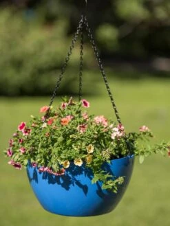 Viva Self-Watering Hanging Basket, 14" Diameter -Backyard Bloomers 8596442 0876 tif