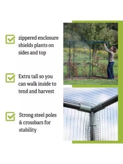 Crop Cage, 4' X 12' -Backyard Bloomers 8596540 4