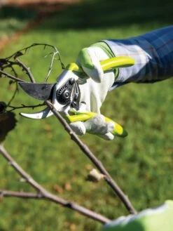 Gardener's Pro Pruner #2 -Backyard Bloomers 8596605 032 tif