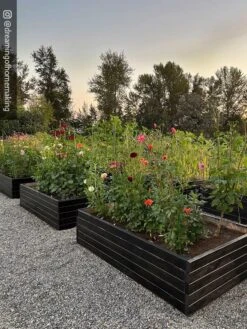 Gardener’s Exterior Wood Stain, 1 Quart -Backyard Bloomers 8596700 02IN