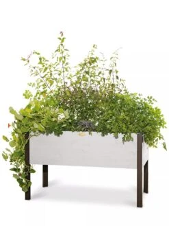 Eco-Stained Elevated Planter Box, 2'x4' -Backyard Bloomers 8596759 3837 tif