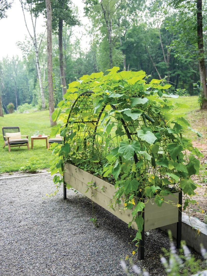 Eco-Stained Elevated Planter Box, 2'x8' 8 Eco-Stained Elevated Planter Box, 2'x8' - Image 6