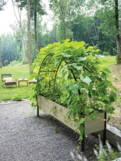 Self-Watering Elevated Planter Box, 2' X 8' -Backyard Bloomers 8596760 0046 tif