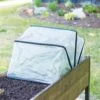 Pop-Up Crop Protector -Backyard Bloomers 8596763 17310 tif