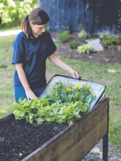 Pop-Up Crop Protector -Backyard Bloomers 8596763 EasyCropProtector gif