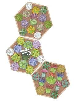 Pollinator Garden Bed -Backyard Bloomers 8597000 Hummingbird Plan tif