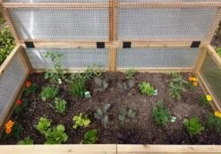Garden In A Box Cedar Raised Bed With Greenhouse, 3' X 6' -Backyard Bloomers 8597082 03V tif