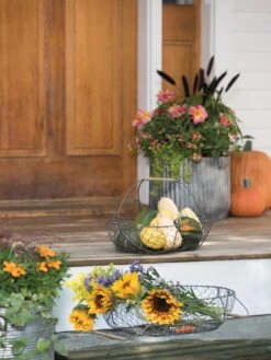 Galvanized Rim Planters -Backyard Bloomers 8597379 1625 tif