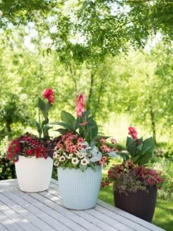 Weave Self-Watering Round Planter, 14" 6 Weave Self-Watering Round Planter, 14" -Backyard Bloomers 8597388 2141 tif