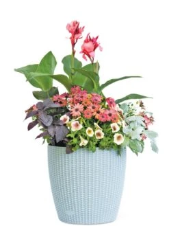 Weave Self-Watering Round Planter, 14" 7 Weave Self-Watering Round Planter, 14" -Backyard Bloomers 8597388 2175 tif