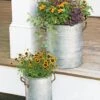 Galvanized Rim Planters -Backyard Bloomers 8597442 1700 tif