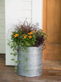 Galvanized Rim Planters -Backyard Bloomers 8597443 1708 tif