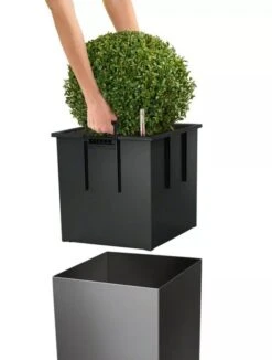Lechuza® Cube Premium Planters 10 Lechuza® Cube Premium Planters -Backyard Bloomers 8597506 04V tif