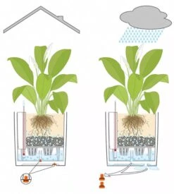 Lechuza® Cube Premium Planters 11 Lechuza® Cube Premium Planters -Backyard Bloomers 8597506 05V tif