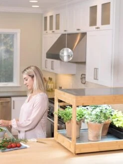 Low Bamboo LED Grow Light Garden -Backyard Bloomers 8597720 0816 tif