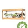 Low Bamboo LED Grow Light Garden -Backyard Bloomers 8597720 10i
