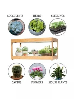 Low Bamboo LED Grow Light Garden -Backyard Bloomers 8597720 3