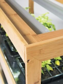 Bamboo Display LED Grow Light Garden -Backyard Bloomers 8597720 7795 tif 1