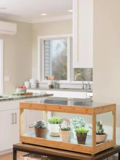 Low Bamboo LED Grow Light Garden -Backyard Bloomers 8597720 9385 tif