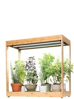 Medium Bamboo LED Grow Light Garden -Backyard Bloomers 8597883 1011 tif