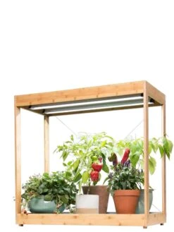 Medium Bamboo LED Grow Light Garden -Backyard Bloomers 8597883 1013 tif