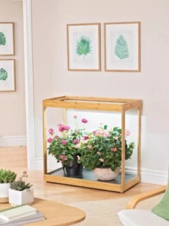 Medium Bamboo LED Grow Light Garden -Backyard Bloomers 8597883 9279 tif