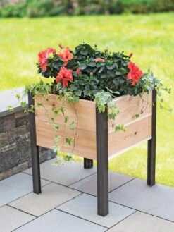 Elevated Cedar Planter Box, 2' X 2' 7 Elevated Cedar Planter Box, 2' X 2' -Backyard Bloomers 8597991 1022 tif