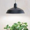 Barnyard Pendant LED Grow Light 2 Barnyard Pendant LED Grow Light -Backyard Bloomers 8598025 8139 tif